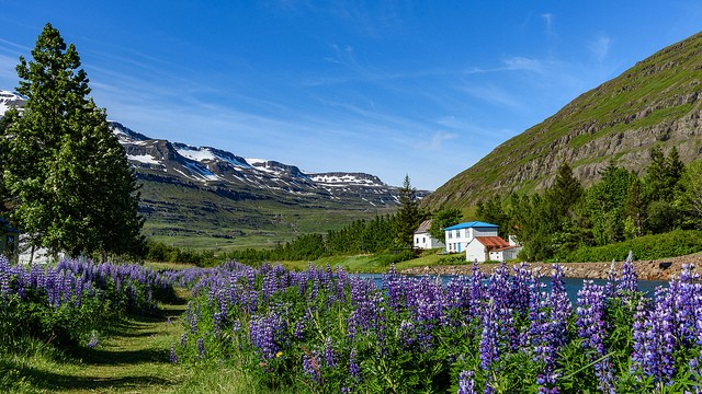 countryside in Iceland